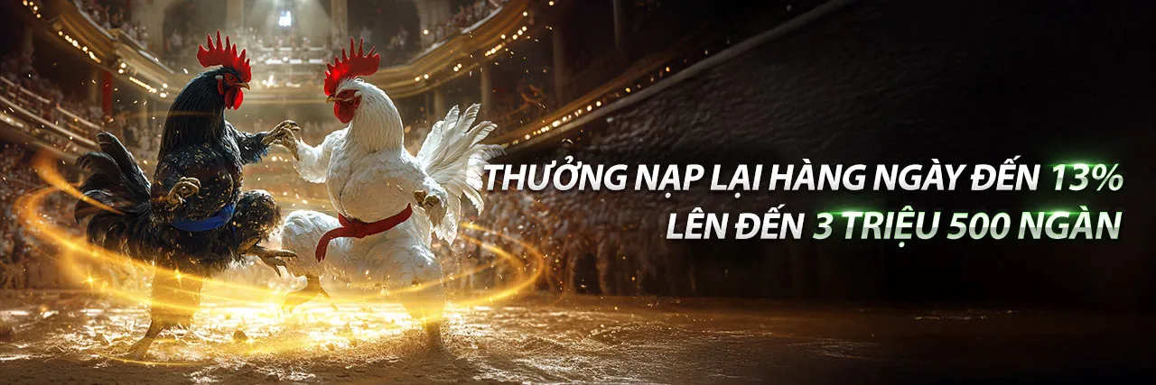 Cờ bạc có trách nhiệm tại rt88 login